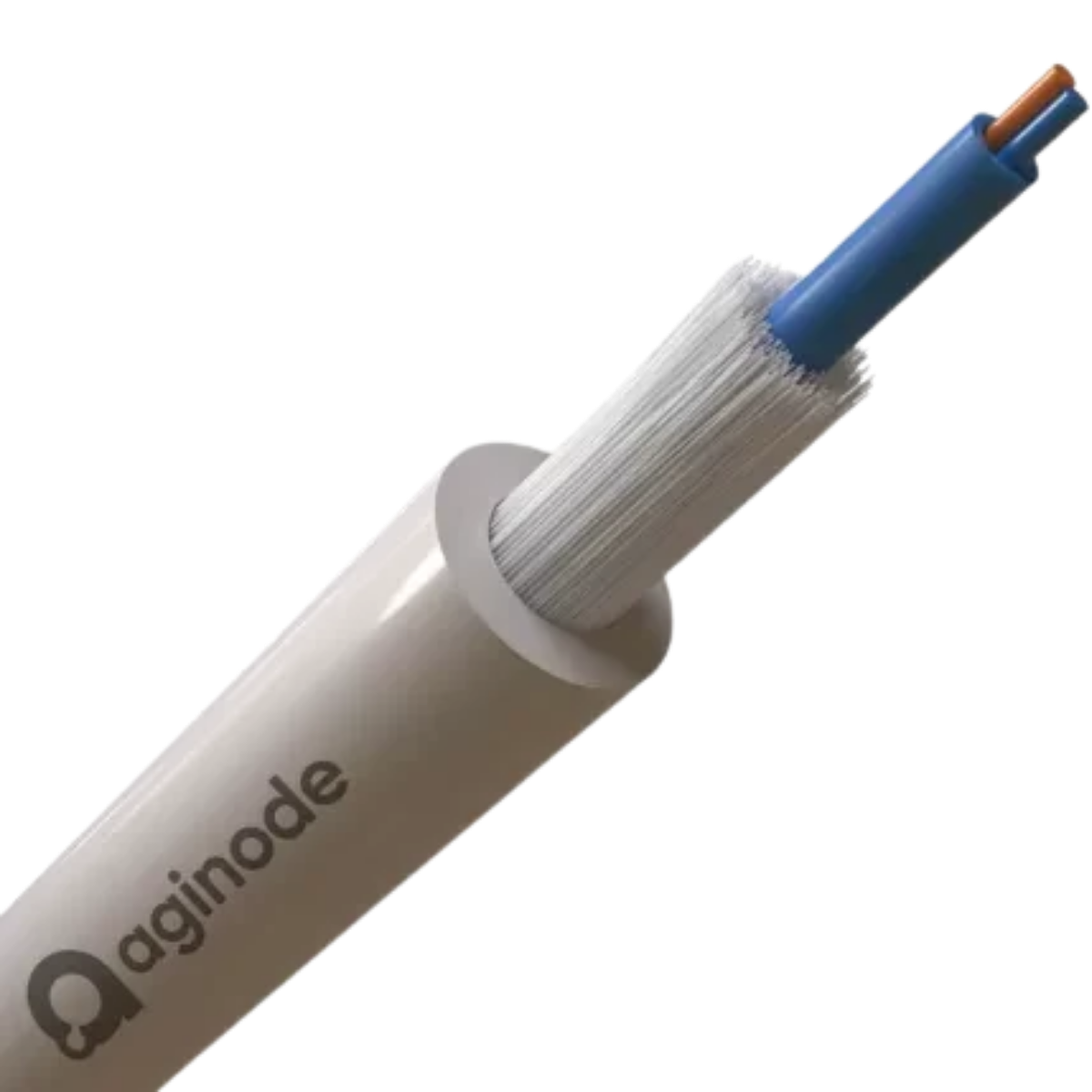 Indoor & Indoor/Outdoor Cables