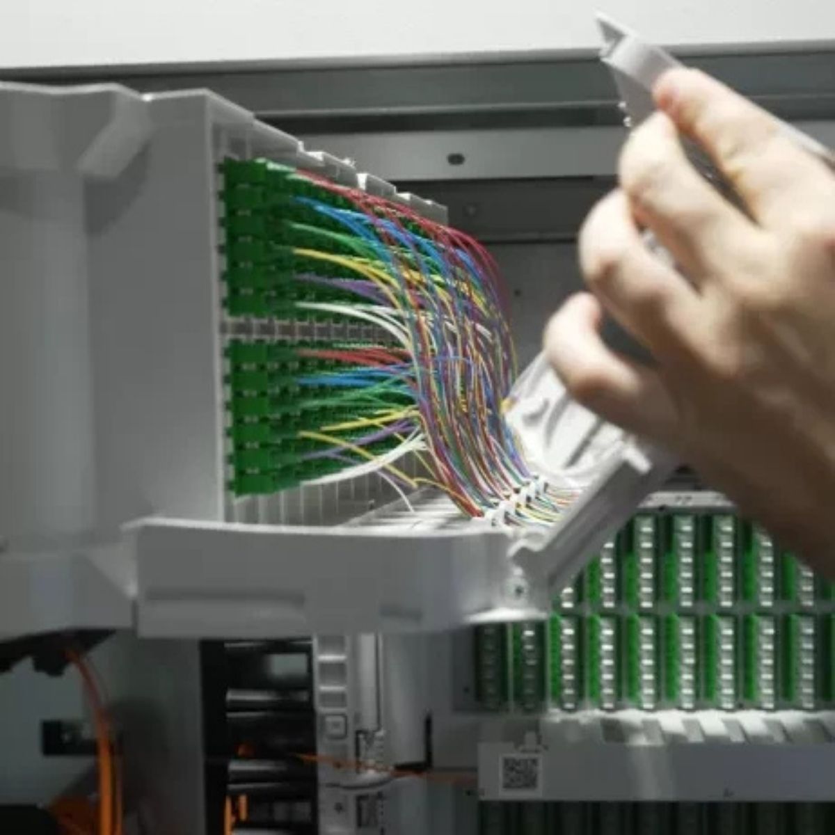 Software & Services